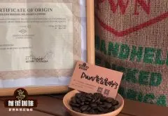 如何选择最佳咖啡豆 咖啡豆都是进口的吗 好喝咖啡豆推荐