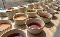 红茶怎么发酵出花香味湿度如何处理 红茶的果香味是怎样做出来的