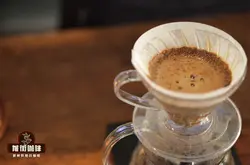 什么是咖啡萃取？如何判断手冲咖啡萃取不足/过度萃取的风味表现