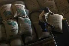 最新产区资讯 巴西咖啡出口8月同比降27% 全球咖啡价格暴涨近50%