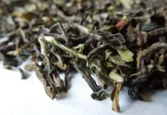 阿萨姆红茶和大吉岭红茶如何鉴别真伪？精致的大吉岭红茶风味描述