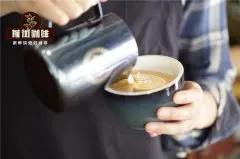 入门级咖啡知识：一缸优质的奶泡标准