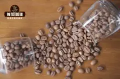 耶加雪菲咖啡产区介绍 埃塞俄比亚精品咖啡产地耶加雪菲的风味特点描述