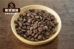 精品咖啡豆—SCAA精品豆分级制