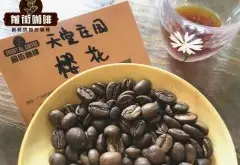 哥伦比亚咖啡到底多好喝？樱花咖啡豆故事起源和它的特点是什么？