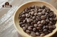 哥斯达黎加巨石庄园蓝莓咖啡豆好喝吗，哥斯达黎加咖啡品种介绍