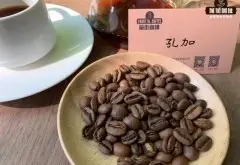 埃塞俄比亚绿色咖啡豆概览 为什么要购买埃塞俄比亚绿色咖啡豆
