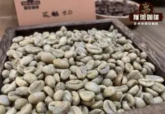生咖啡豆可以吃吗？吃咖啡豆有助于减肥吗？