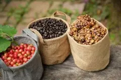 咖啡豆怎么处理才能喝  咖啡豆的蜜处理后好喝吗