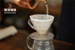 世界上最贵的猫屎咖啡豆 如何制作一杯完美的 Kopi Luwak 咖啡 /