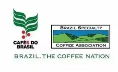 世界上咖啡豆产量最高的产国—巴西咖啡豆起源，历史，特点介绍。