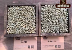 埃塞俄比亚花魁咖啡豆起源故事与口感特点 花魁咖啡豆介绍