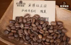 瑰夏咖啡豆好喝吗？特殊处理法瑰夏无氧发酵日晒风味评鉴。