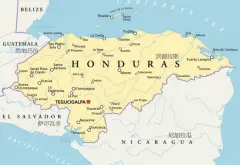 洪都拉斯咖啡豆：雪莉酒桶咖啡豆和荔枝兰咖啡豆风味特点有什么区