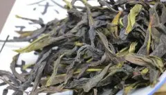 鸭屎香是什么茶树品种的茶？乌叶单枞茶的香气口感有什么特点？
